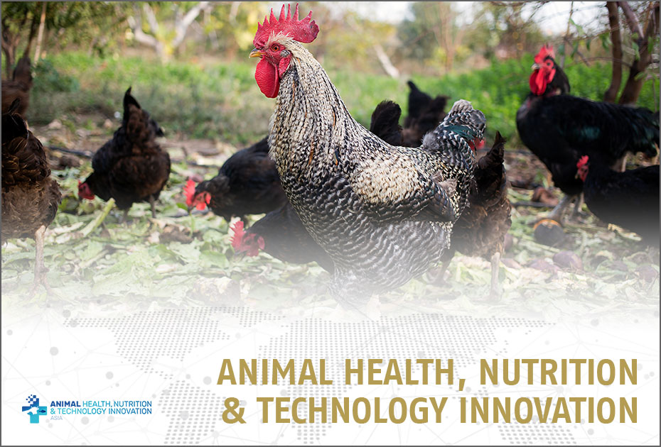 Animal Health, Nutrition and Technology Innovation Asia 2022 | knoell