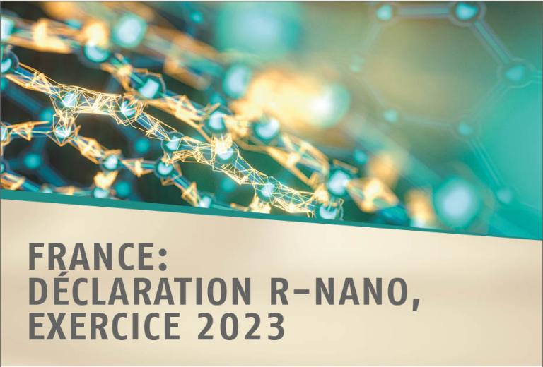 Déclaration R-Nano, exercice 2023