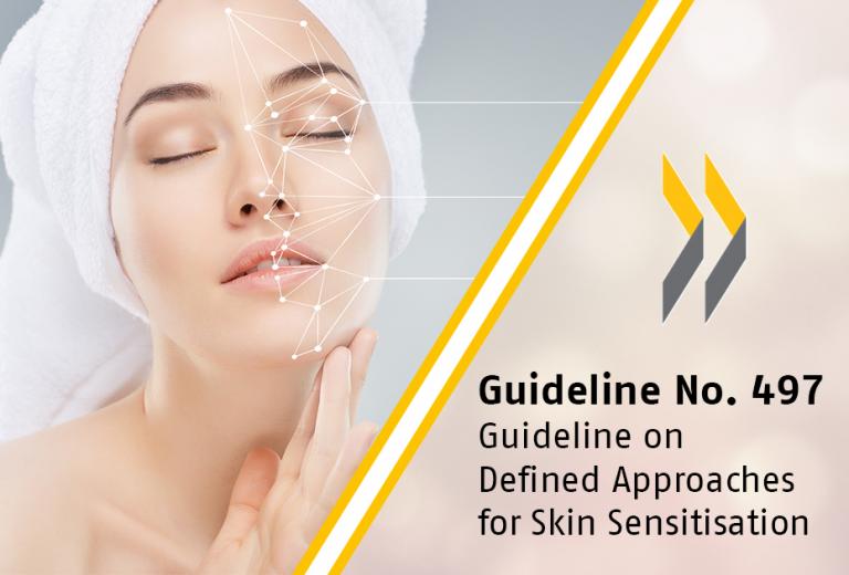 Defined Approaches for Skin Sensitisation 