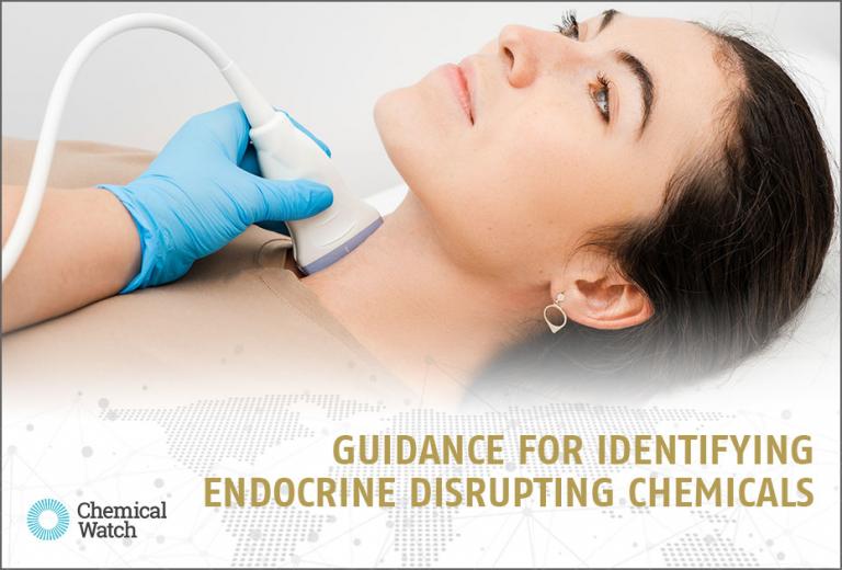 knoell meet us Guidance for Identifying Endocrine Disrupting Chemicals 26.04.2022