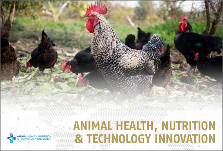 knoell meet us at Kisaco Animal Health Nutrition Technology Innovation 18.10.2022