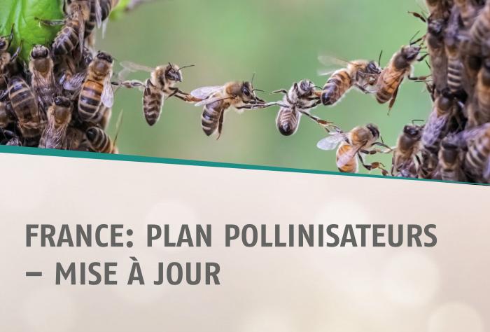 France Plan Pollinisateurs – Mise à jour