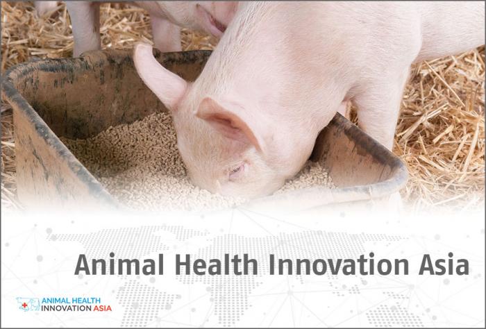 knoell meet us_Animal Health-Innovation-Asia_2021