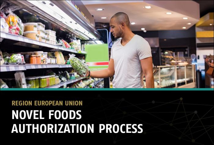 Novel Foods Authorization Process in the EU